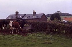 The countryside old and new - Papple near Garvald