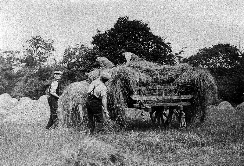 Hay making on Yester estate, c1945