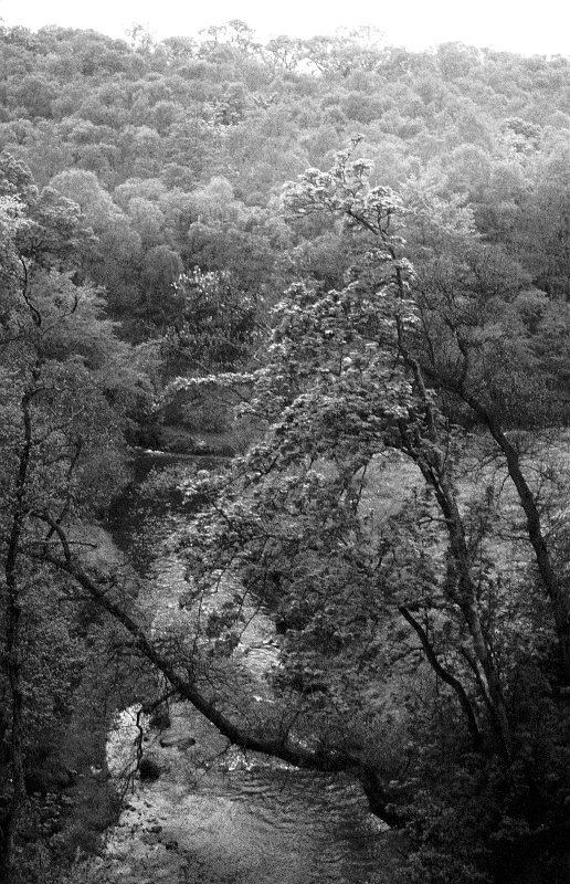 Humbie Water from Saltoun viaduct